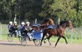 Försök: Charlottenlund 0/, Halmstad /, Åby /, Jägersro /, Bjerke / Final: Åby / - 0 m auto - förstapris 0 000 SEK.