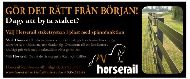 OMSÄTTNING ATT UTDELA