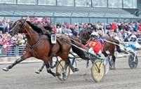EROM Matcha mot det nya storloppet! Körsven: Björn Goop Tränare: Dan Widegren Ägare: Stall Sten Nilsson AB, Svedala Hästskötare: Sara Andreasson Pris 00:- Berlin - Jägersro Super Trot Cup 0!