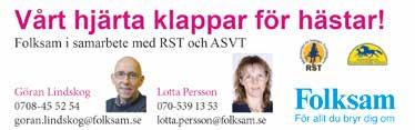 DYNAMIT LIFE 0: Tot: 0 0-0-0,fux.v.
