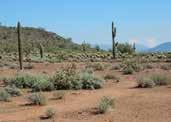 Men så ett par veckor innan så dök det upp infomation om tävlingen med samling norr om stan i ett nytt naturskyddat område Sonoran Desert Preserve.