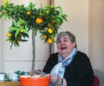 Idogt arbete bär frukt. Kerstin Bergström avtackades med ett citrusträd. så tror jag nog att verksamheten fortsätter, det kommer alltid till nya.