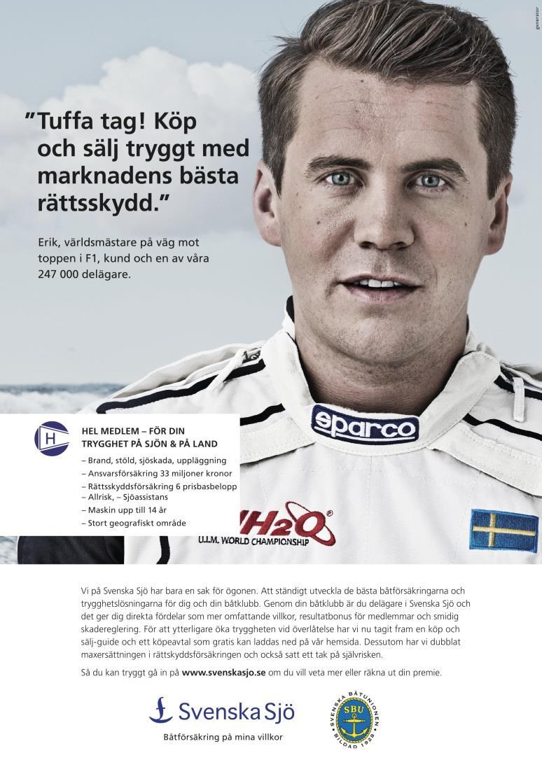 Mot bakgrund av detta konsulterades föreningens revisor för att få råd, enligt stadgarna, hur det fortsatta styrelsearbetet under innevarande verksamhetsår skulle bedrivas.