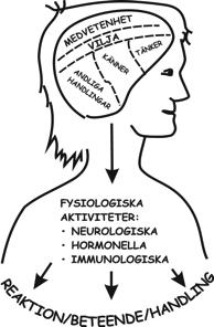 Då hamnar man konstant i besvikelse, depression, aggression Det finns en kamp mot medvetenhet (frihet), dvs sig själv maktlöshet, utbrändhet, känslan av Allintetgjord. HUR BEHANDLA STRESS?