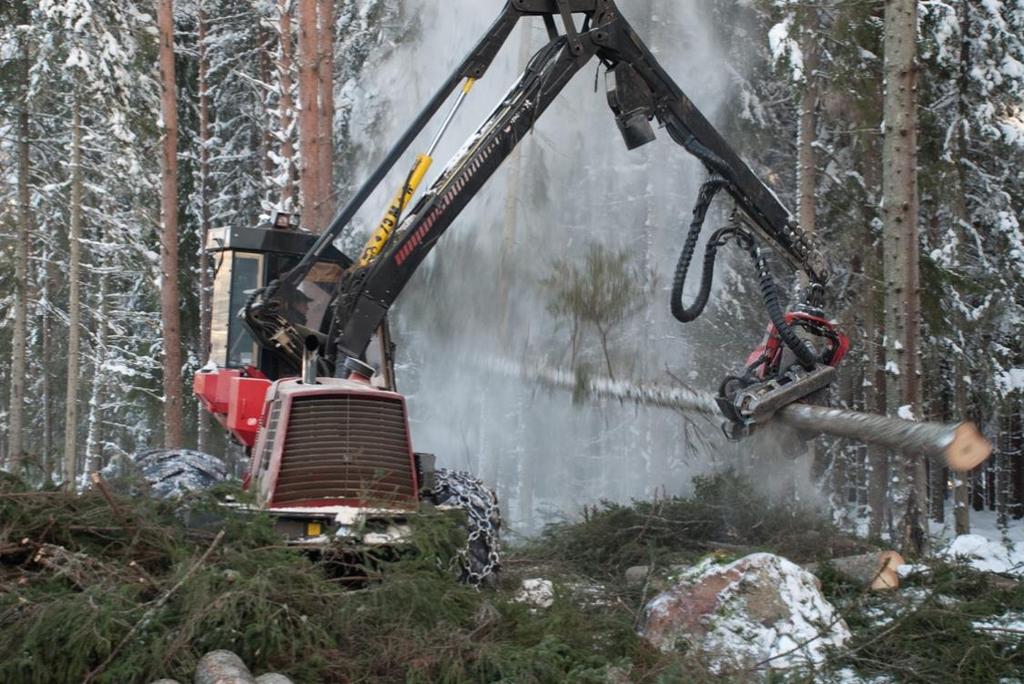 Wallerman Jörgen, Willén Erik, Söderberg Jon, Möller Johan