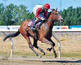 TIPS & RANK V64 & V4 JÄGERSRO BANKOD 34 AV ULF ZEIDER Lopp 5 - V64-1 Lopp 6 - V64-2 Lopp 7 - V64-3, V4-1 Lopp 8 - V64-4, V4-2, V3-1 Lopp 9 - DD-1, V64-5, V4-3, V3-2 Lopp 10 - DD-2, V64-6, V4-4, V3-3