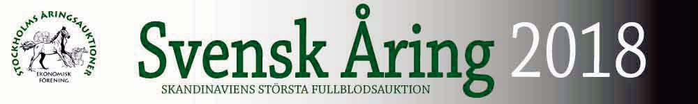 auktion.