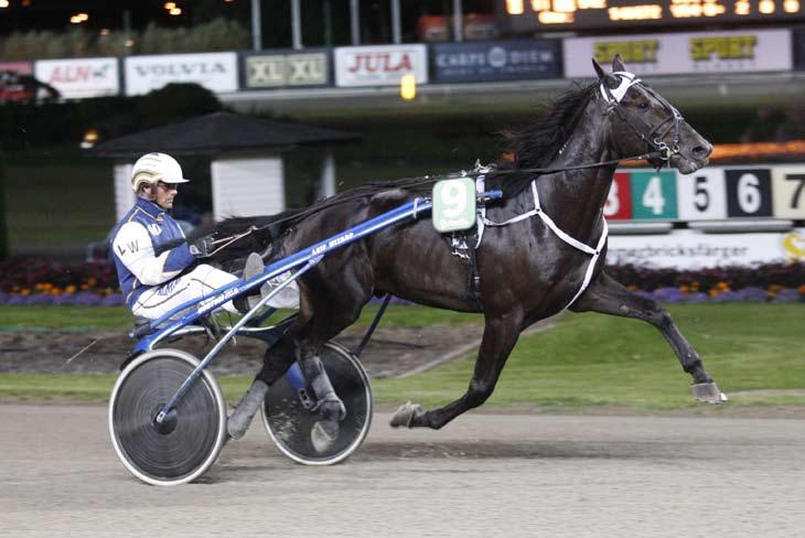 månadens häst september 2009 Castor Race Foto: Micke Gustafsson/Foto-Mike Hingst 3 år e. Super Arnie u. Penny Race ue. Giant Force Ägare: Rozzo Trotting HB, Viskafors.