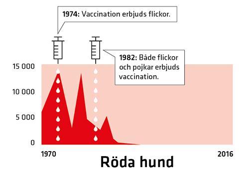 Rubella Kongenitalt rubellasyndrom 90 % risk första 10 veckorna 10-20 % risk vid 16