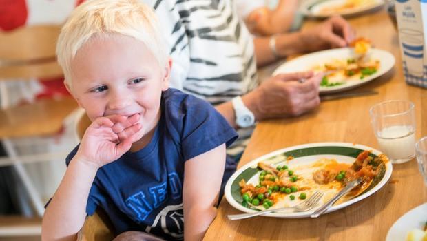GRÖN MATGLÄDJE I SOLA OCH FÖRSOLA Genom att positivt förändra attityder till vegetabilier och vegetariska maträtter hos barn, pedagoger och föräldrar kan kött bli en underordnad del av måltiden och