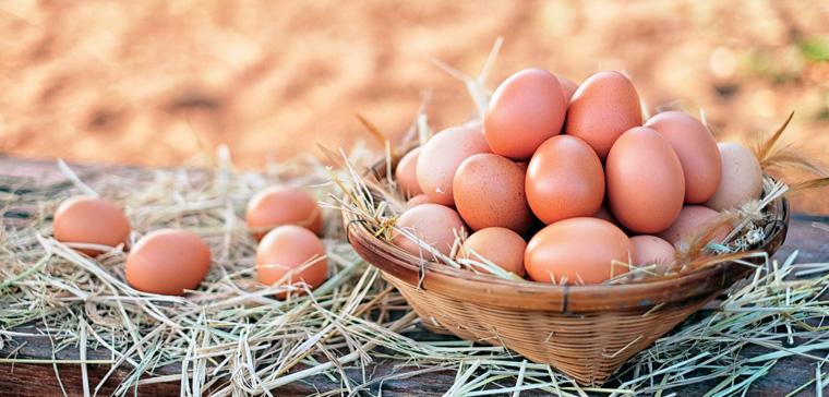 Risk och riskspridning Uttrycket lägg inte alla ägg i samma korg används för att påpeka att det kan vara bra att sprida riskerna i sparandet.