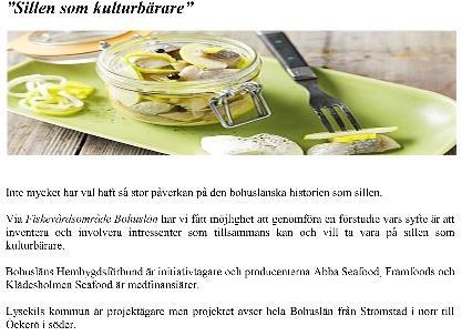 2009 Havet som förenar med Dick Harrison - om Bohusläns och sjöfararnas historia Föreläsning om kapare i Bohuslän.