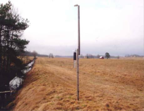 Belägen ute på en öppen myr, ca 1 x 1 m i Ottenby lund. <5 m.ö.h och,5 km från havet.