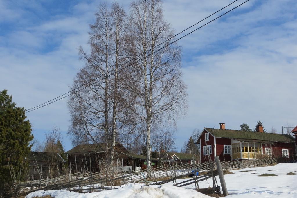 5 (10) Befintliga hus i den före detta fäboden norr om planområdet Service I Mockfjärd, ca 6 km bort, finns service som,