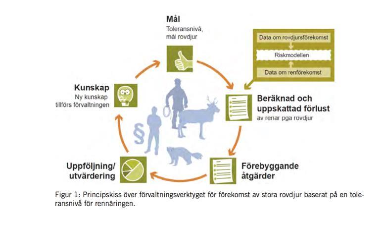 erfarenhetsbaserad kunskap implementeras löpande i dialog mellan länsstyrelse och rennäring.