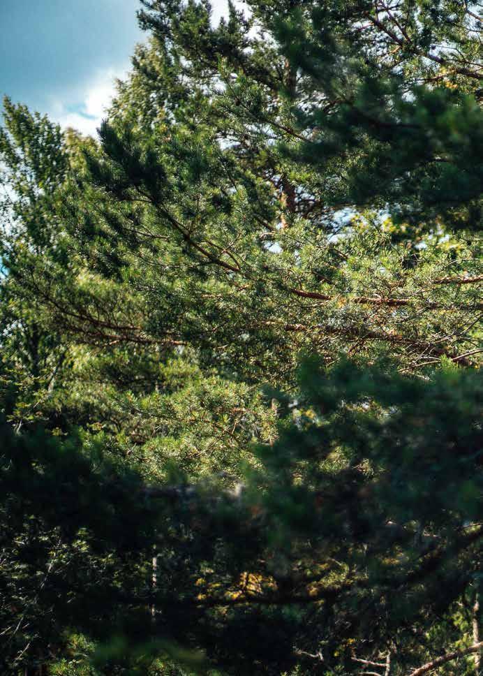 OMRÅDET ERIKSVIK Bo halvvägs mellan stad och skärgård. Eriksvik är ett område i Saltsjö-Boo som erbjuder underbar skärgårdsnatur endast ca 20 minuter från centrala Stockholm.