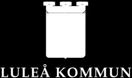 Information Barn- och