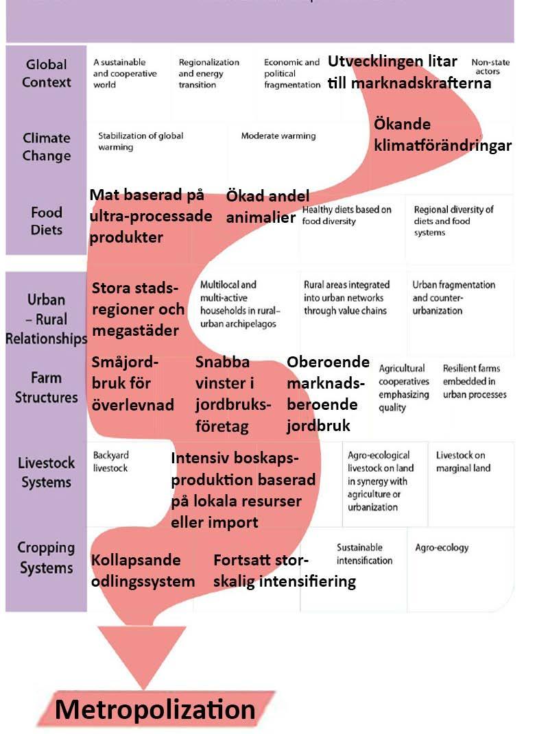 Agrimonde Metropolization Styrs av urban normalitet och globala marknadskrafter Stora klimatförändringar, miljökatastrofer Ojämlikhet, ohälsosam kost,