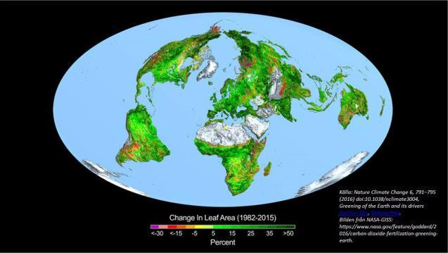 Jorden har blivit 30% grönare på 30 år