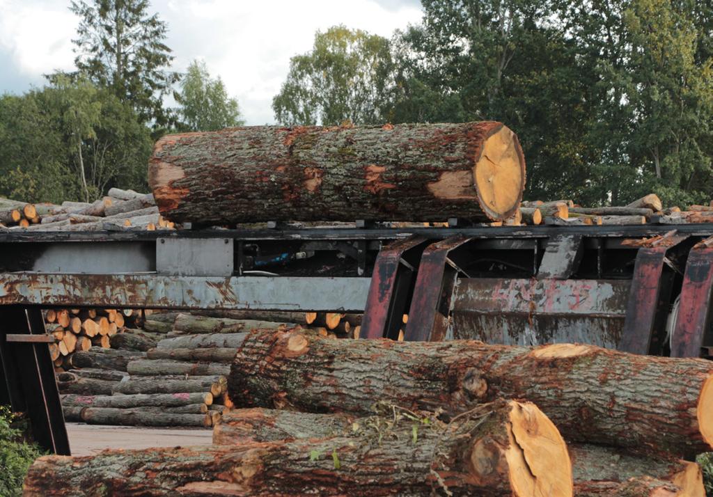 Här matas ekstockarna in på Kährs. Varje år förbrukas 80 000 kubikmeter ek, varav 60 000 är svensk råvara. Kährs är en nyckelspelare på den svenska ekmarknaden.