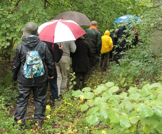 Fullmånen sken över slottsbryggan när sällskapet lämnade för nattsömnen inför morgondagens exkursion. Fredagens regn stoppade inte vandringen i den tätortsnära ekskogen.