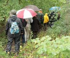 Fullmånen sken över slottsbryggan när sällskapet lämnade för nattsömnen inför morgondagens exkursion. Fredagens regn stoppade inte vandringen i den tätortsnära ekskogen.