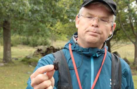 gan hur det ojämna beståndet med enstaka grova ekar och få små ekar skulle hanteras. Deltagarna konstaterade att det fanns en hel del småplantor i gräset, men att de trycks tillbaks av betning.