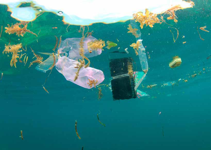 Guide för lärare Kapitel 2 Plastföroreningar i havet vad är det?