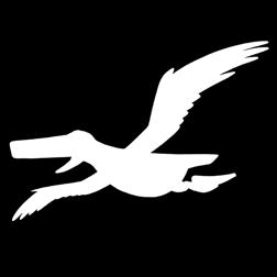 Guide för lärare Kapitel 2 Wisdom är tävlingens maskot! Hon är en albatross från Midway-atollen i Stilla havet och finns med genom hela utbildningsmaterialet.