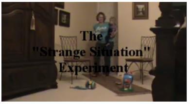 Deltagarna fick se ett klipp från youtube där främmandesituationen (strange situation) demonstrerades. Den vanligaste metoden inom forskningen för att bedöma spädbarns anknytningsmönster.