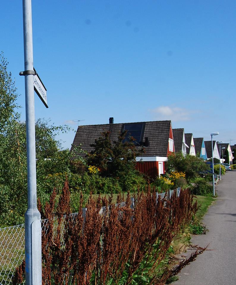 Fornlämningar Inom planområdet finns inga kända fasta fornlämningar. Radon Planområdet ligger inom ett normalriskområde för radon.