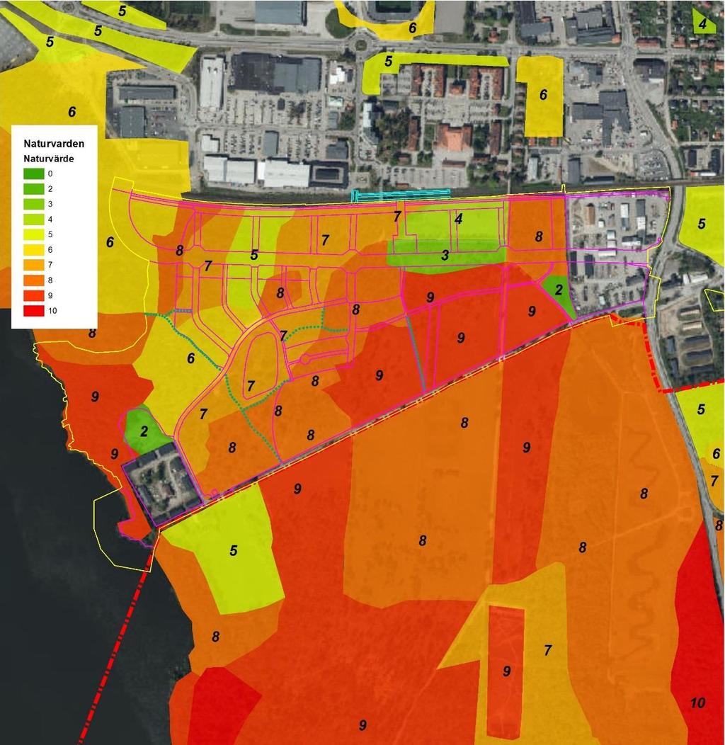 Figur 6. Naturvärdesklasser (från 0 till 10) 2016. Inom planområdet är den högsta naturvärdesklassen 9. (Figuren framställd av Martin Unell, Växjö kommun, på basis av data från Ivarsson, 2016 a.