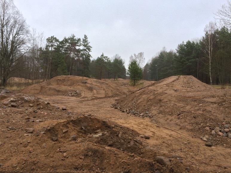 För att möjliggöra för den värdefulla insektsfaunan att fortleva i området bör eventuella öppna ytor i planområdet utformas så att de efterliknar dagens ängsmark.