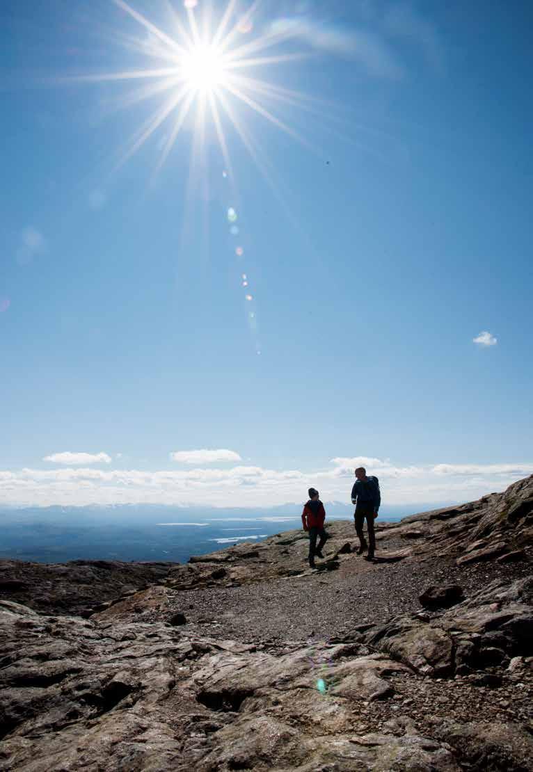KOMMUNIKATION, INSAMLING OCH SAMHÄLLSPÅVERKAN En tillgänglig och välmående natur är inte bara en hjärtefråga utan också en förutsättning för vår verksamhet.