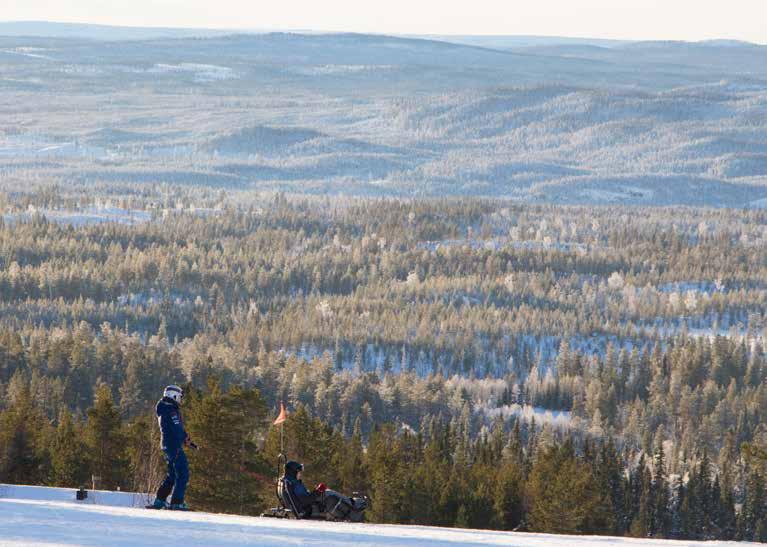 Under 2017 har över 5 000 barn och ungdomar har fått prova naturparkour varav 1 525 är barn i socioekonomiskt utsatta områden. 18 nya ledare har utbildats.