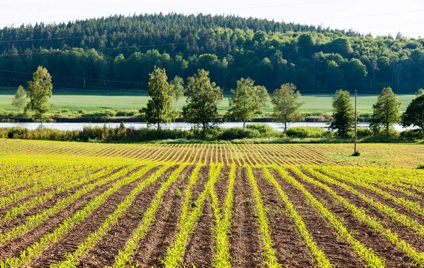 2 Mål för Jordbruksverkets arbete med klimatanpassning 2.