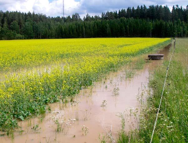 under vintern förväntas bli något högre och den lägsta nivån under sommaren förväntas vara ungefär samma som idag.