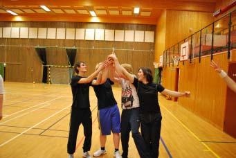 Den 19:e November 2010 anordnade Lessebos Utmanargäng en volleybollturnering för tredje års Äventyrare och uppåt i Dacke Scoutdistrikt. Allt som allt blev vi 28 glada och förväntansfulla scouter.