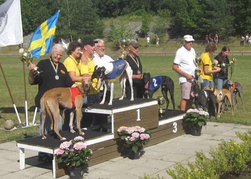 SM Tik finalen. Box 1 Lilja, 2 Riona Viking, 3 Superlove, 4 Klinga, 5 Penny Lane, 6 Yu Baba. Foto Katarina Lindberg. Det 29:e Svenskt Mästerskapet för Tikar Tik-SM var minst lika öppet som Öppna SM.