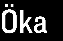 Det har orsakat fördröjningar och bolagets