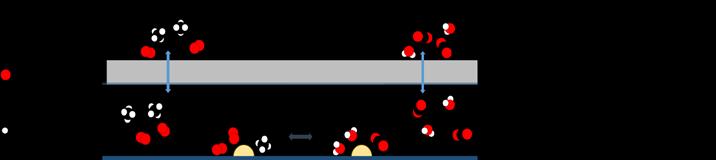 Modellering av metanoxidation Geometri: Monolit (vanligt funnen