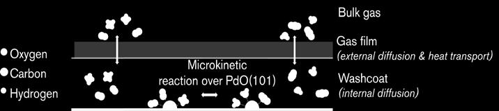 stabilitet) Mikrokinetiken bestämd via Transition State Theory med