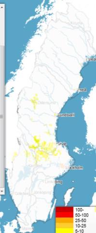Vårfloden