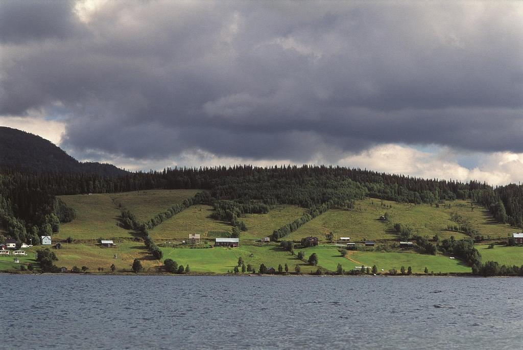 Medelvind till havs Högt havsvattenstånd Lågt havsvattenstånd Nedisning till havs Varningstyper Regn Snö Byvind Vind med stark kyleffekt (endast fjäll)