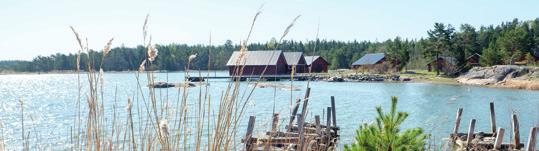 Hållbara investeringar Utvecklingen inom hållbara och ansvarfulla investeringar har gått snabbt de senaste åren.