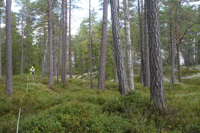 arter varav 283 fanns med på rödlistan för 2005. Signalartslistan har i stort sett varit oförändrad sedan starten och utgörs av arter som indikerar skyddsvärda områden.