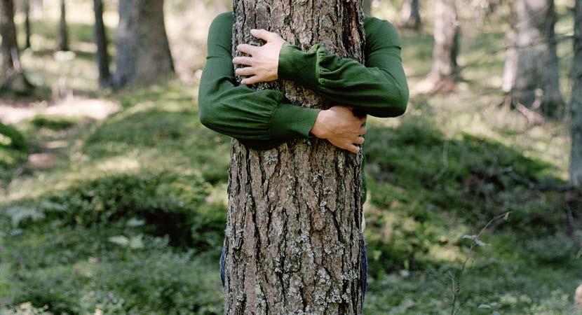 Inredning Foto Foto Kultur Kultur Hälsa Hälsa Hälsa Vegetarianism Eva Karlgård berättar om tio olika skäl för att bli vegetarian.