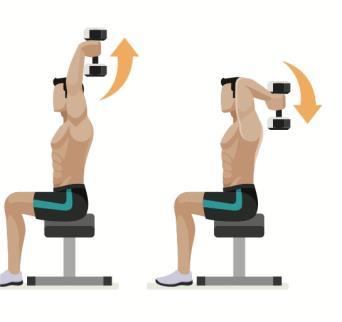 Biceps curl : Denna övning kan utföras på olika sätt, se exempel nedan.