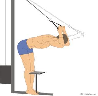 Triceps press: Dessa övningar görs i maskiner på gym alternativt fria vikter eller