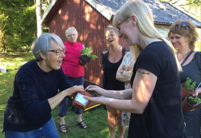 Brutal splittring i Kyrkbyn Grönahögs första (?) Trädgårdscafé ägde rum den 21 maj i strålande sol hemma i Helga och Sven Kopatz vackra trädgård.